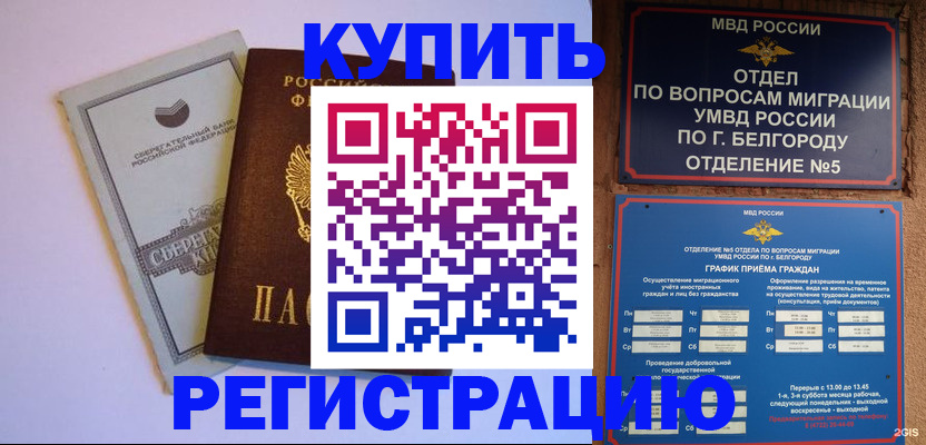 прописка гарантия в Калининграде